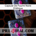 Africa Black Ant Capsule 01